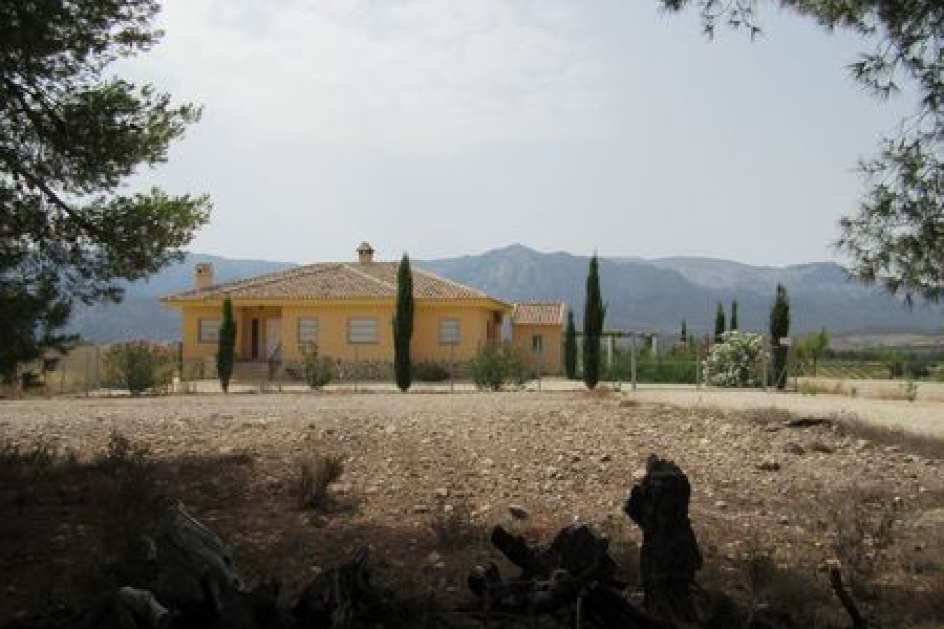 55,000 m² of building land in Murcia with views of Espuña National Park