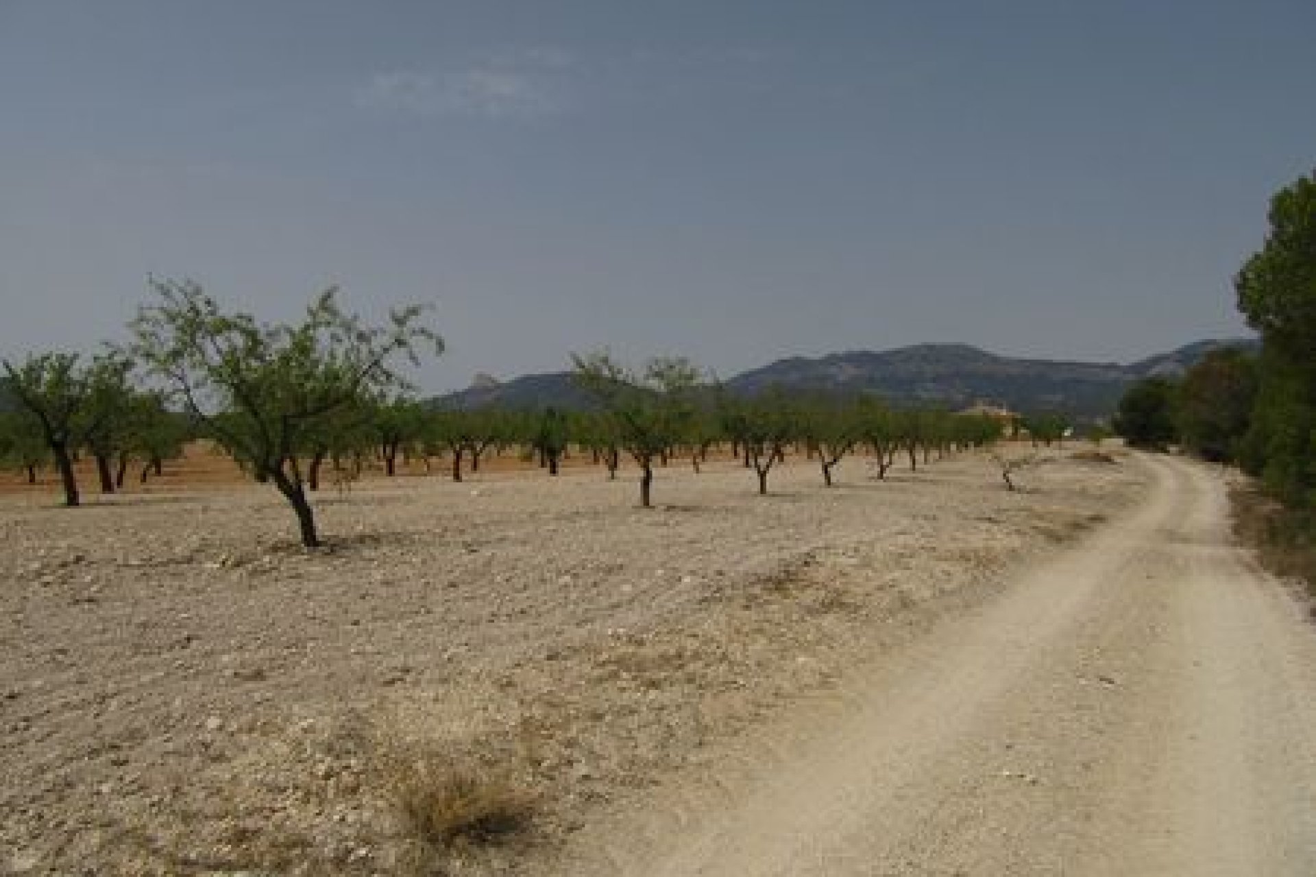 55,000 m² of building land in Murcia with views of Espuña National Park
