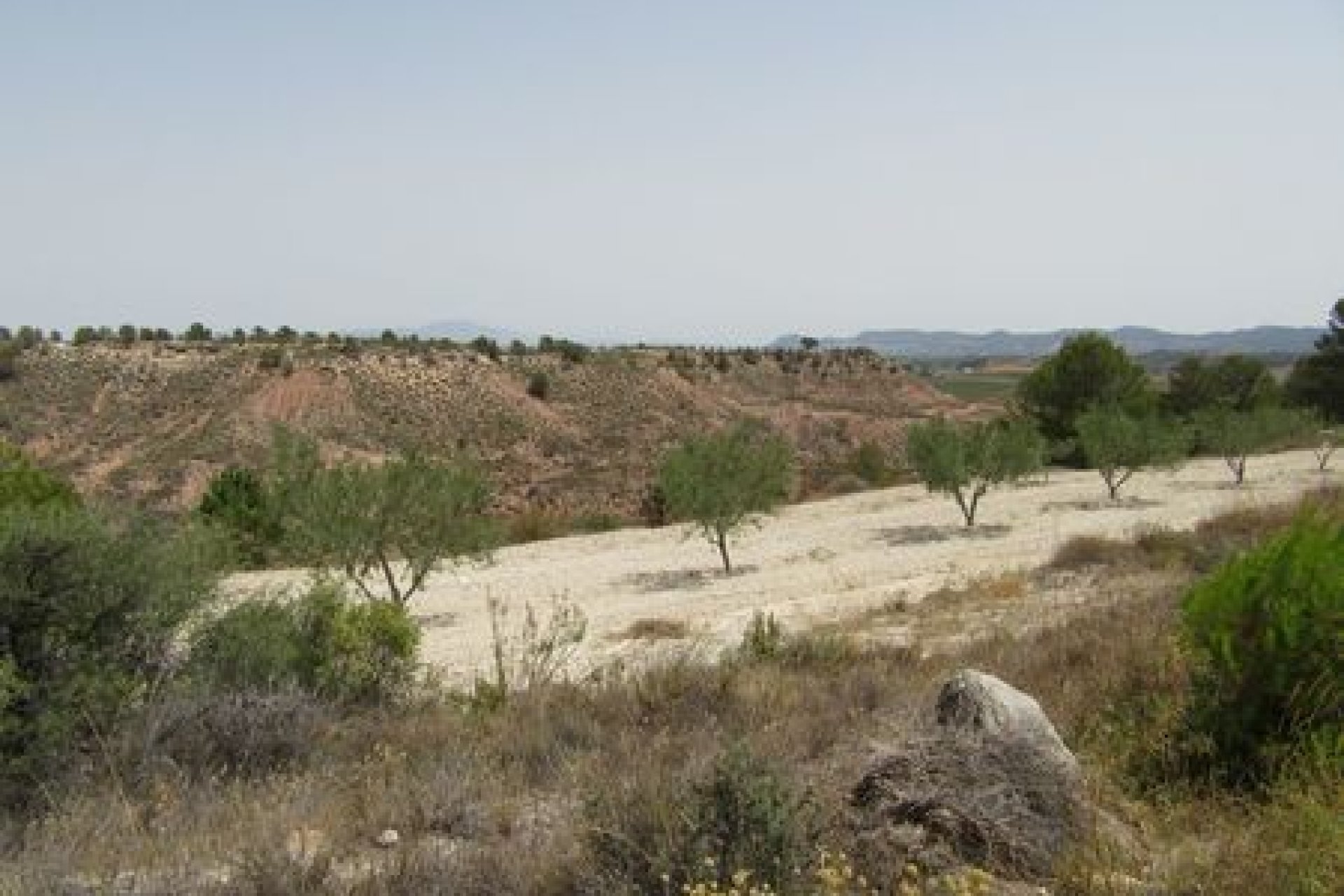 55,000 m² of building land in Murcia with views of Espuña National Park
