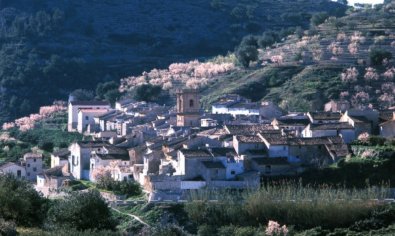 Adosado - Reventa - Bolulla -
                Center