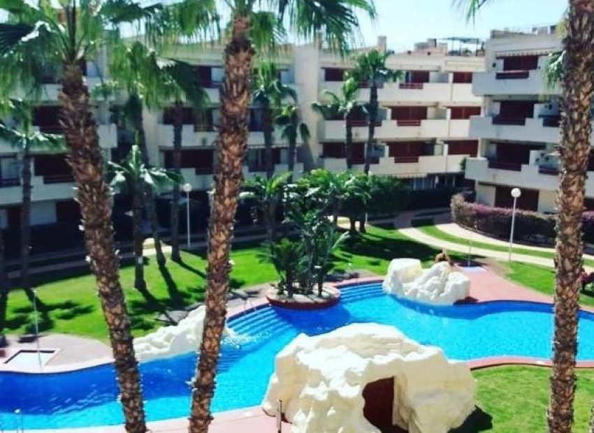 Amplio piso de 3 dormitorios en Orihuela con piscina