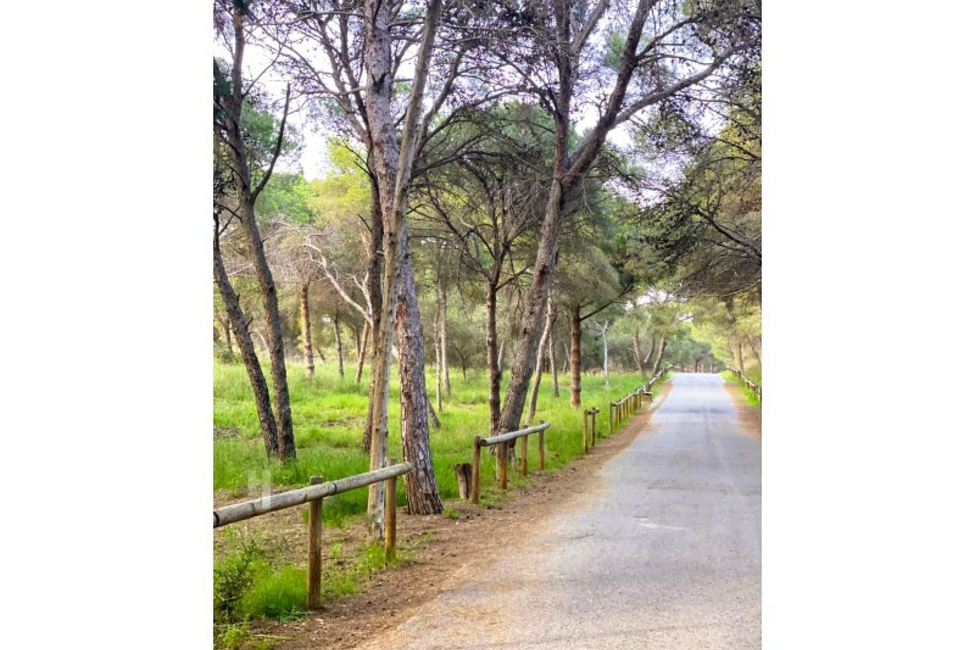 Apartamento en planta baja con terraza de 290 m² cerca de la playa en Guardamar del Segura