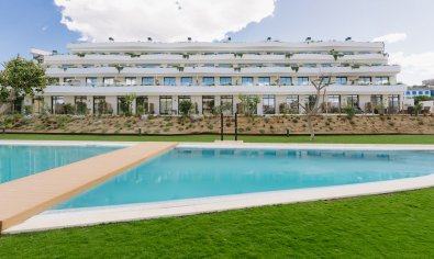 Apartamento / piso - Obra nueva - Alfaz del Pi -
                Alfaz del Pi