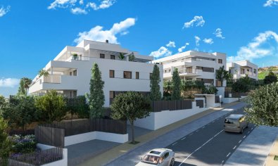 Apartamento / piso - Obra nueva - Buenas Noches -
                Buenas Noches