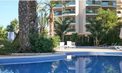 Apartamento / piso - Obra nueva - Calpe -
                Calalga