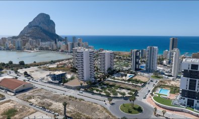 Apartamento / piso - Obra nueva - Calpe -
                Calpe