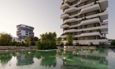 Apartamento / piso - Obra nueva - Calpe -
                Calpe