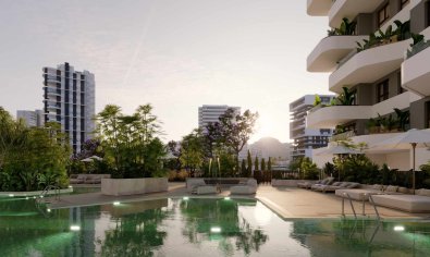 Apartamento / piso - Obra nueva - Calpe -
                Calpe