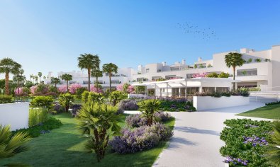 Apartamento / piso - Obra nueva - Estepona -
                Estepona