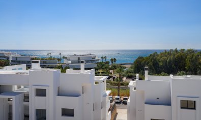 Apartamento / piso - Obra nueva - Estepona -
                Estepona