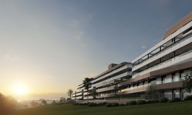 Apartamento / piso - Obra nueva - Estepona -
                Estepona