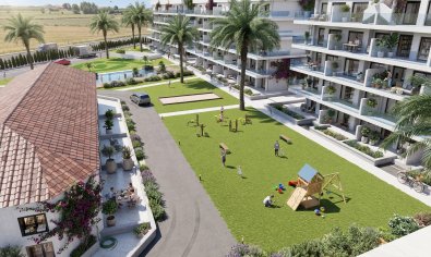 Apartamento / piso - Obra nueva - Guardamar del Segura -
                Guardamar Del Segura