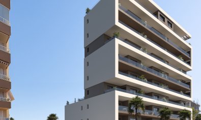Apartamento / piso - Obra nueva - Guardamar del Segura -
                Guardamar Del Segura
