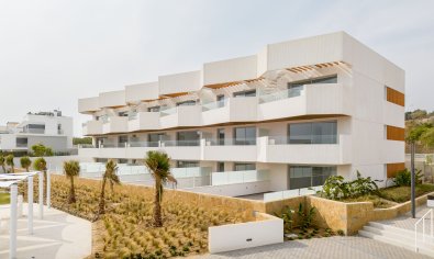 Apartamento / piso - Obra nueva - Málaga -
                Málaga