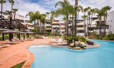 Apartamento / piso - Obra nueva - Marbella -
                Marbella