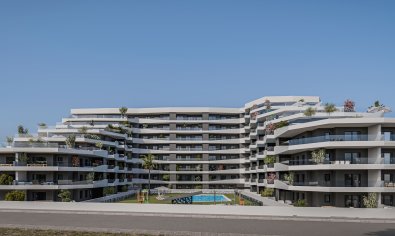 Apartamento / piso - Obra nueva - San Miguel de Salinas -
                San Miguel de Salinas