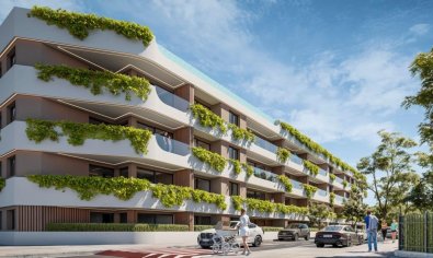 Apartamento / piso - Obra nueva - San Pedro Alcántara - San Pedro Alcántara