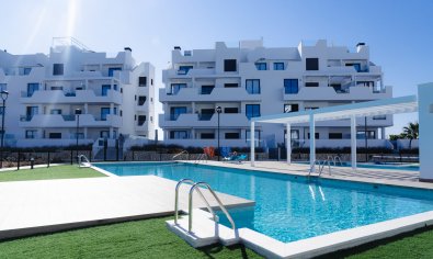 Apartamento / piso - Obra nueva - Santa Rosalía -
                Santa Rosalía