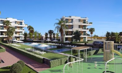 Apartamento / piso - Obra nueva - Torre-Pacheco -
                Torre-Pacheco