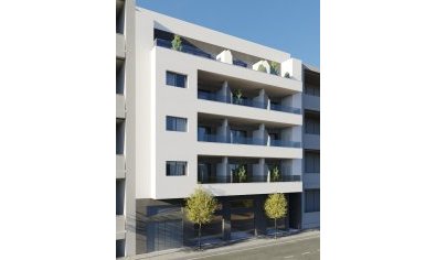 Apartamento / piso - Obra nueva - Torrevieja -
                Torrevieja