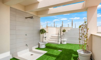 Apartamento / piso - Obra nueva - Torrevieja -
                Torrevieja