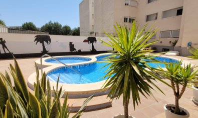 Apartamento / piso - Reventa - Almoradí -
                Almoradí