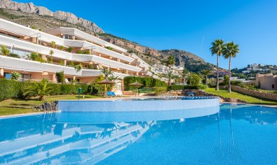 Apartamento / piso - Reventa - Altea -
                Altea