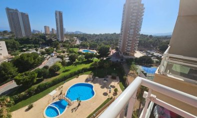 Apartamento / piso - Reventa - Benidorm -
                Benidorm