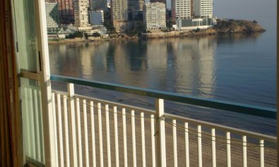 Apartamento / piso - Reventa - Benidorm -
                Levante