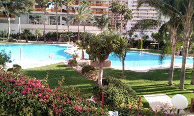 Apartamento / piso - Reventa - Benidorm - Rincón de Loix