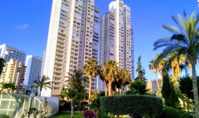 Apartamento / piso - Reventa - Benidorm -
                Rincón de Loix