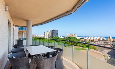 Apartamento / piso - Reventa - El Campello -
                El Amerador