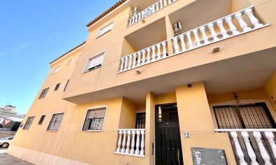 Apartamento / piso - Reventa - Formentera de Segura -
                Formentera de Segura