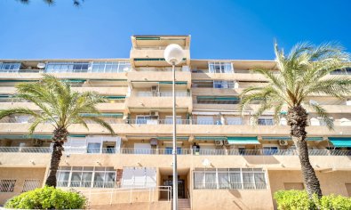 Apartamento / piso - Reventa - Guardamar del Segura -
                Guardamar Del Segura