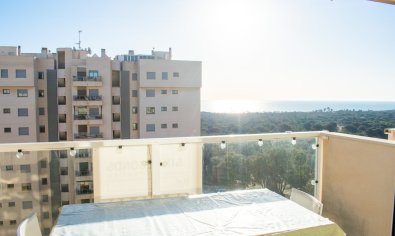 Apartamento / piso - Reventa - Guardamar del Segura - puerto deportivo