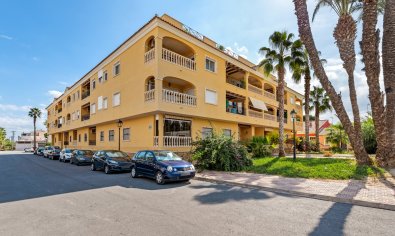 Apartamento / piso - Reventa - Jacarilla -
                Jacarilla