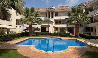 Apartamento / piso - Reventa - Jacarilla -
                Jacarilla