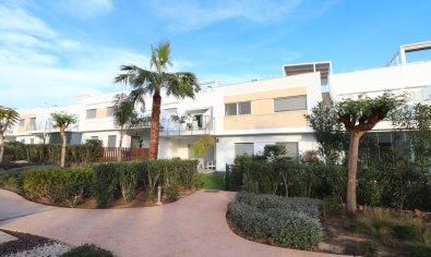 Apartamento / piso - Reventa - Los Montesinos -
                Entre Naranjos