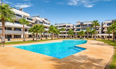 Apartamento / piso - Reventa - Orihuela Costa - Los Altos