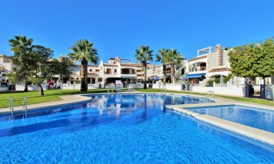 Apartamento / piso - Reventa - Orihuela Costa - Playa Flamenca