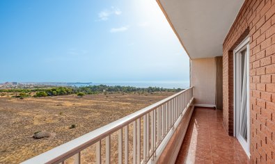 Apartamento / piso - Reventa - Orihuela Costa -
                Punta Prima
