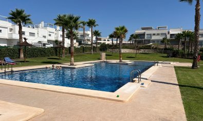 Apartamento / piso - Reventa - Orihuela -
                Entre Naranjos