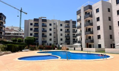 Apartamento / piso - Reventa - San Miguel de Salinas -
                San Miguel de Salinas