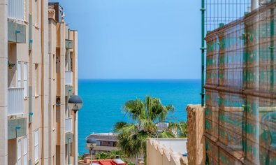 Apartamento / piso - Reventa - Torrevieja -
                La Mata
