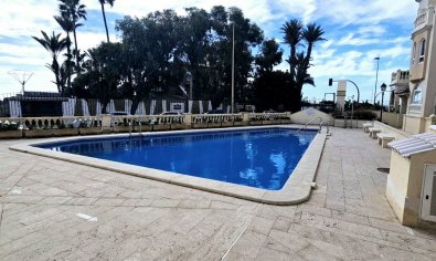 Apartamento / piso - Reventa - Torrevieja - Playa Los Locos