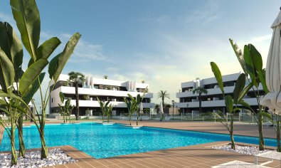 Apartment - Ground Floor - New Build - Guardamar del Segura -
                Guardamar Del Segura