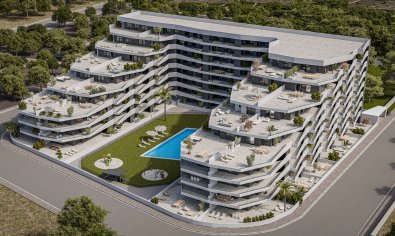 Apartment - Ground Floor - New Build - San Miguel de Salinas -
                San Miguel de Salinas