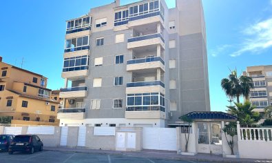 Apartment - Ground Floor - New Build - Torrevieja -
                Torrevieja