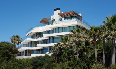 Apartment - New Build - Estepona -
                Estepona