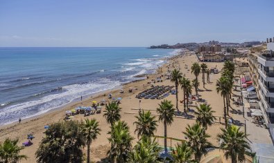 Apartment - New Build - La Mata -
                La Mata